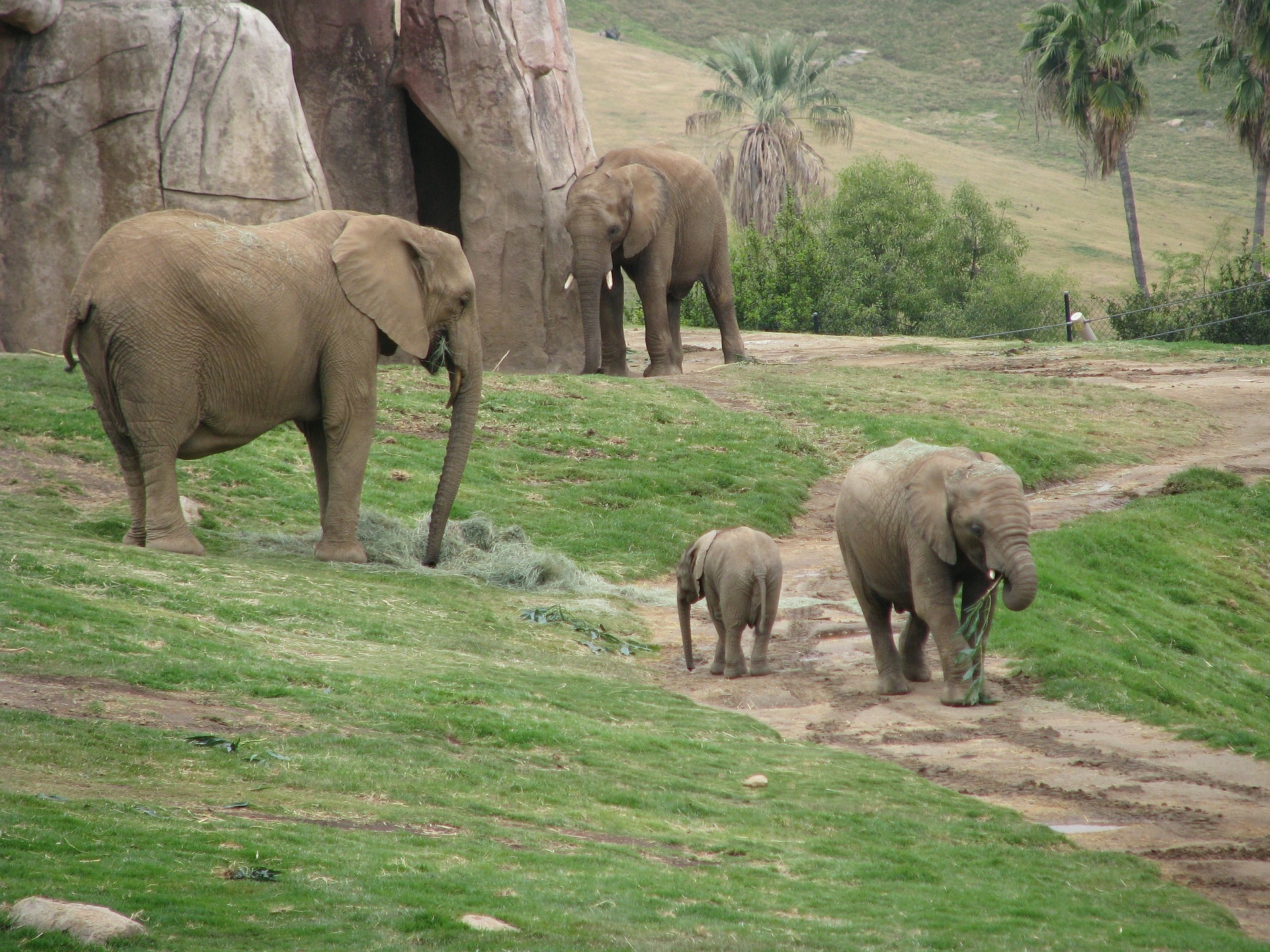シーワールド・動物園