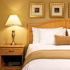 Standard Studio Suite